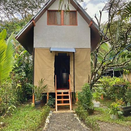 Cabana Equipada Puerto Jiménez Dış mekan fotoğraf